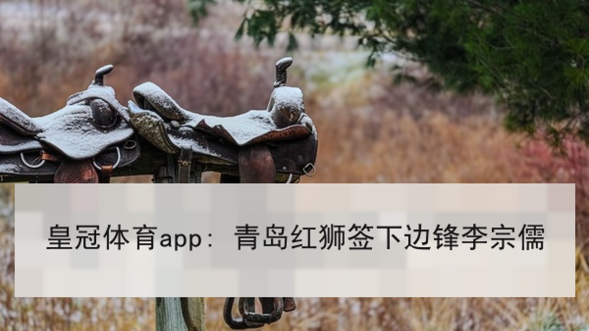 皇冠体育app: 青岛红狮签下边锋李宗儒 皇冠体育app: 青岛红狮签下边锋李宗儒